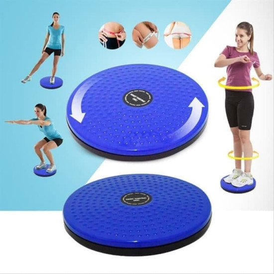 Waist Twisting Disc Healthy Massage & Thin Waist Panel Packing Opp Waist Twisting Disc Healthy Massage & Thin Waist Panel Packing Opp