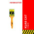 Xander Kuas Cat 2 Inch Gagang Plastik Lubang Gantungan 2In XD-1198