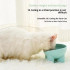 Tempat Makan Hewan Kaki Tinggi Wadah Makanan Pet Bowl